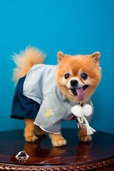 TP钱包(TokenPocket)钱包安卓版
